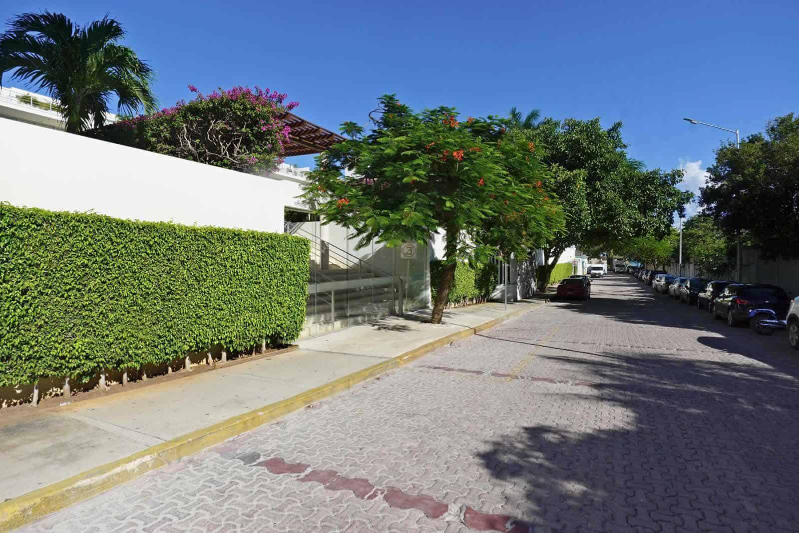 Magia calle 16 bis access.