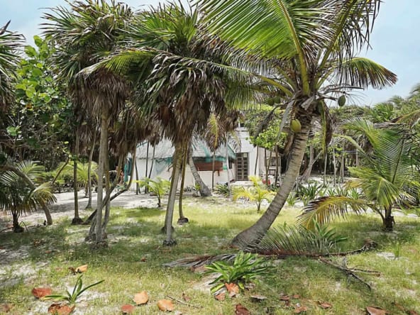 Chenchomac casa