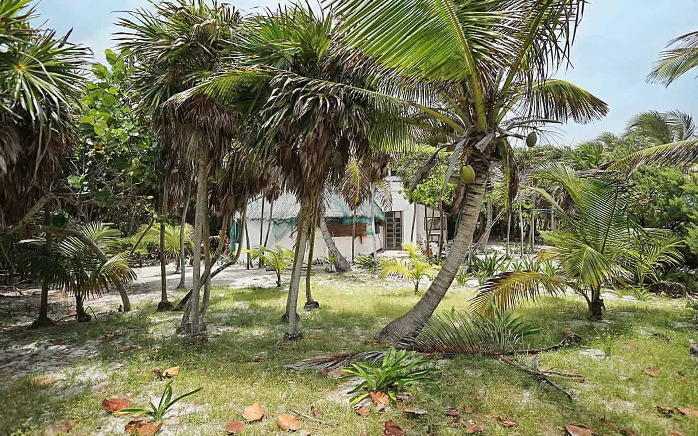 Chenchomac casa