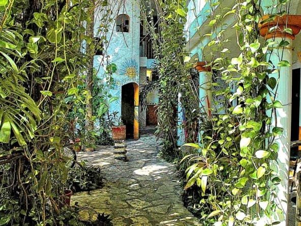 Casa Tucan garden walk from the reception