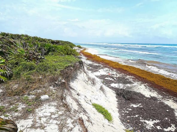 Chenchomac beach view north