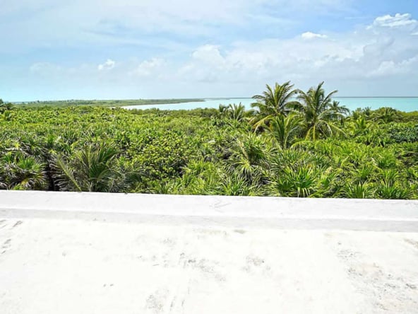 Chenchomac Caribbean view south