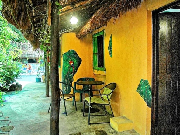 Hotel Casa Tucan wall murals everywhere