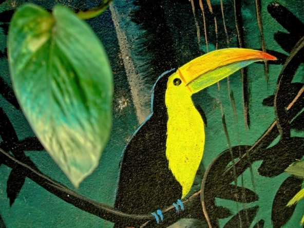 Hotel Casa Tucan wall murals are everywhere