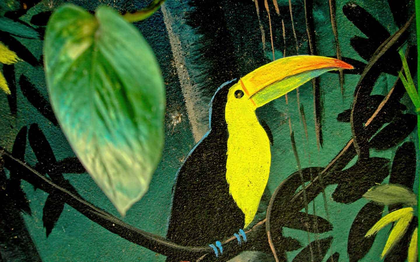 Hotel Casa Tucan wall murals are everywhere