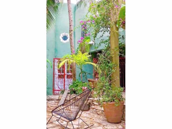 Garden tranquility and color