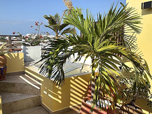 Available NOW. Total tranquility ! Disponibilidad AHORITA. Todo tranquilidad !
