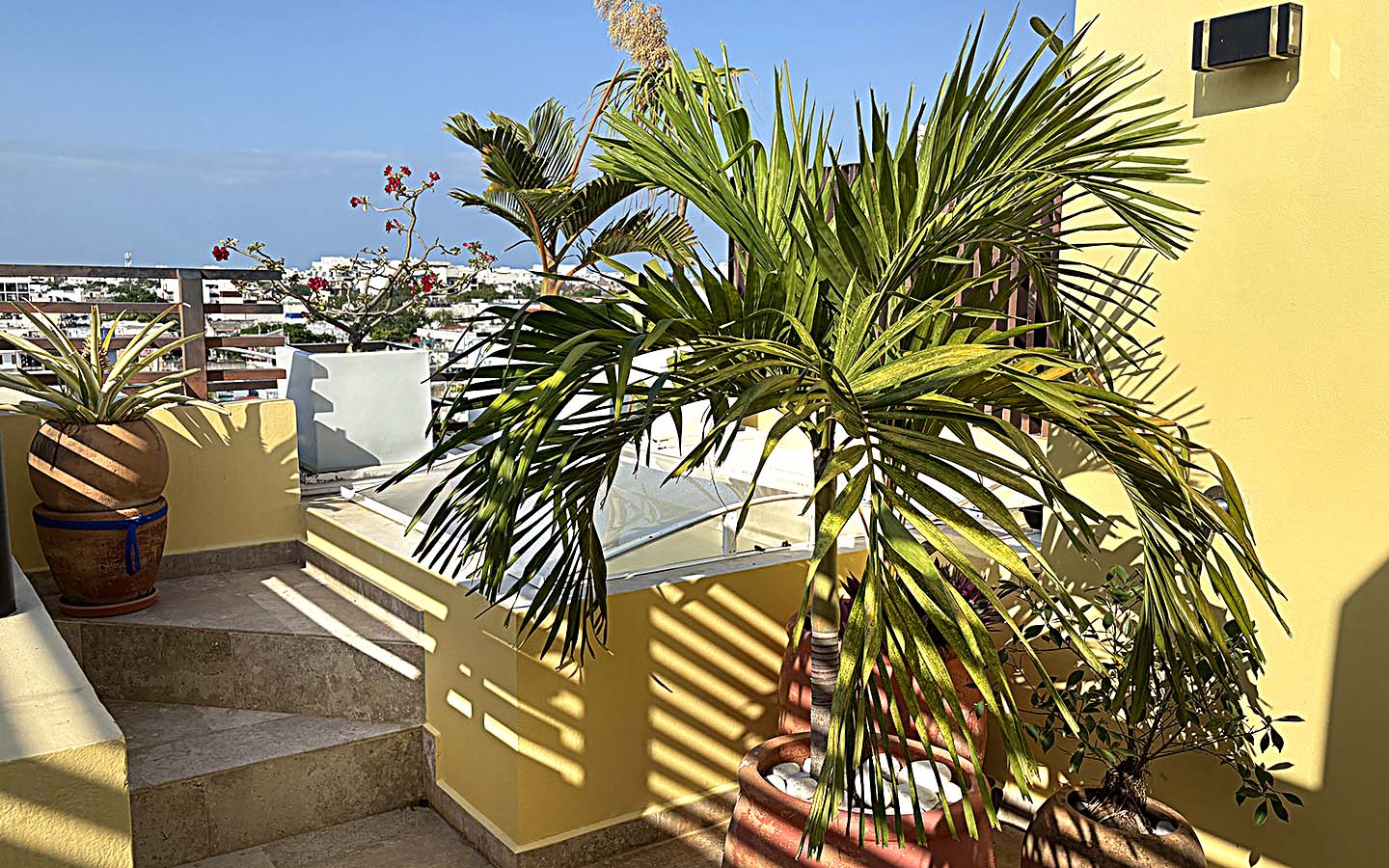 Available NOW. Total tranquility ! Disponibilidad AHORITA. Todo tranquilidad !