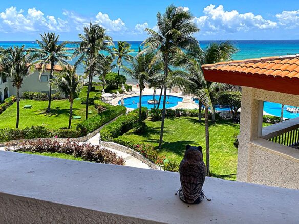 Xaman Ha 3 bedrooms, 3 bathrooms