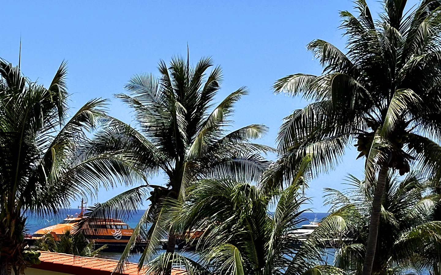 Xaman Ha beachfront top floor, 3 bedrooms, 3 bathrooms for rent